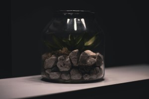 A photograph of rocks in a jar visualizing EOS rocks
